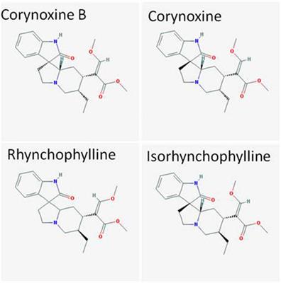 The beneficial pharmacological effects of Uncaria rhynchophylla in neurodegenerative diseases: focus on alkaloids